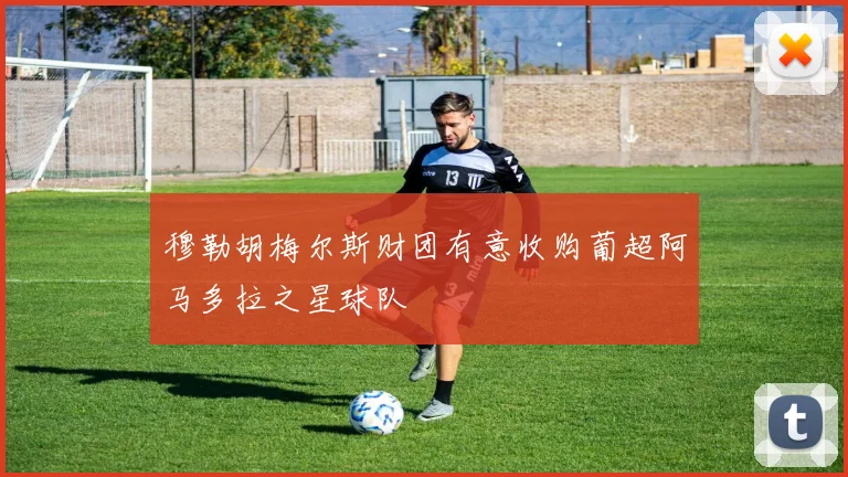 穆勒胡梅尔斯财团有意收购葡超阿马多拉之星球队