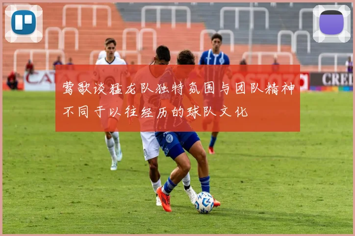 莺歌谈猛龙队独特氛围与团队精神不同于以往经历的球队文化