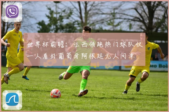 世界杯前瞻：法西领跑热门球队仅一人看好葡萄牙阿根廷无人问津